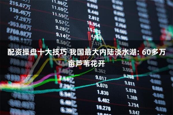 配资操盘十大技巧 我国最大内陆淡水湖: 60多万亩芦苇花开